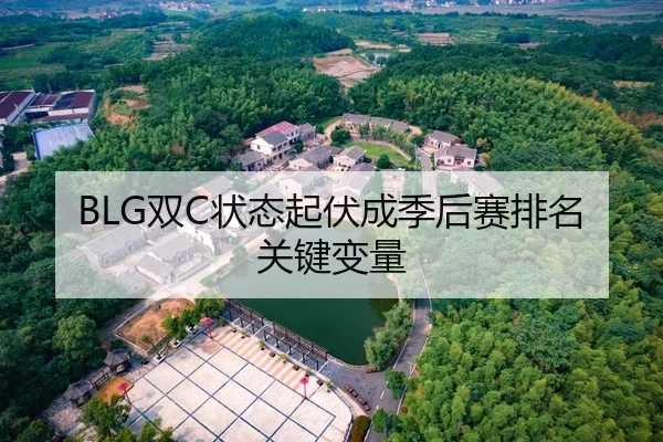 BLG双C状态起伏成季后赛排名关键变量