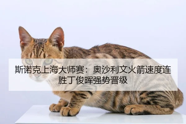斯诺克上海大师赛：奥沙利文火箭速度连胜丁俊晖强势晋级