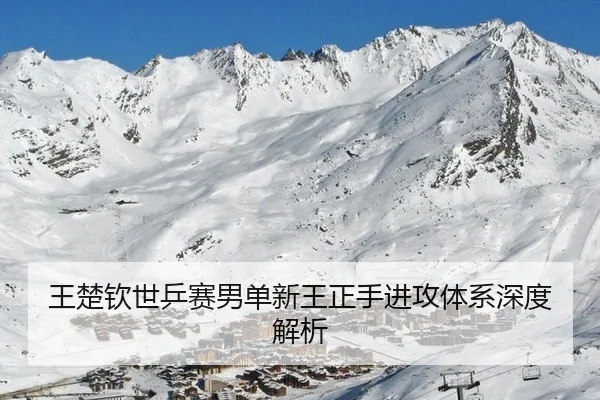 wang-chu-qin-shi-ping-sai-nan-dan-xin-wang-zheng-shou-jin-gong-ti-xi-shen-du-jie-xi-2-318.jpg