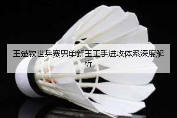 王楚钦世乒赛男单新王正手进攻体系深度解析