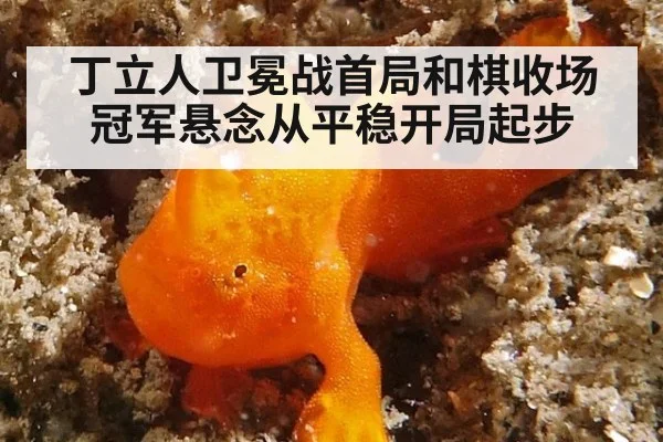 丁立人卫冕战首局和棋收场 冠军悬念从平稳开局起步