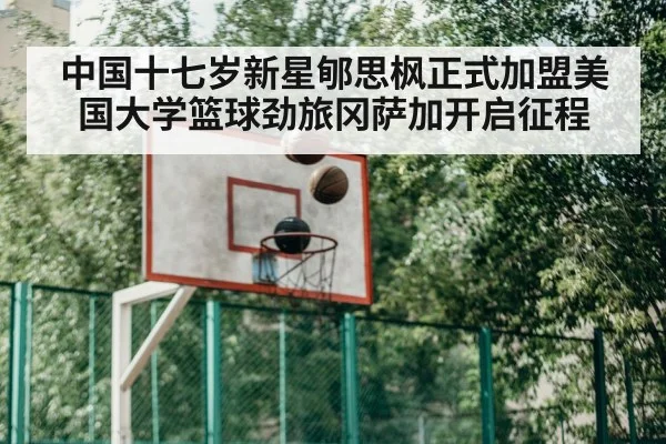 basketball training