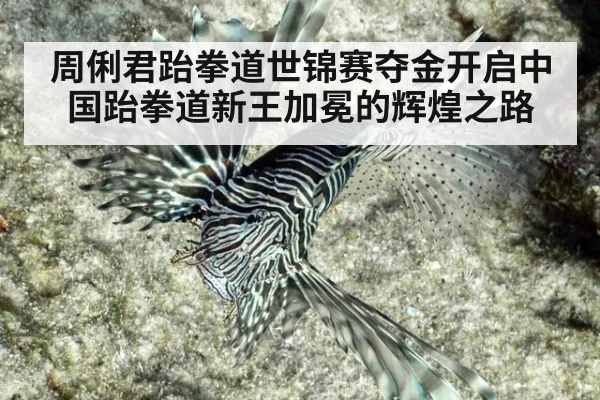周俐君跆拳道世锦赛夺金开启中国跆拳道新王加冕的辉煌之路